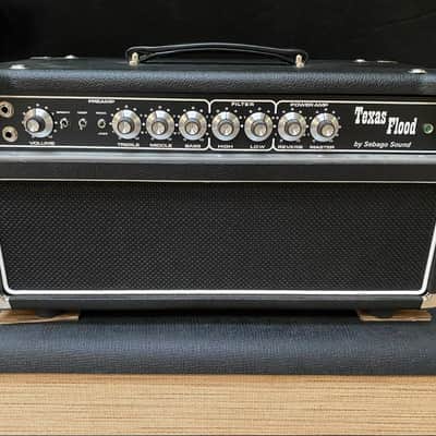 Dumble Steel String Singer