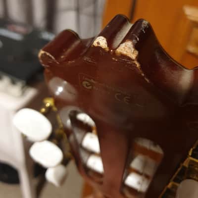 Galvador Ibanez G200ECE-NT Series Cutaway Acoustic/Electric Classical Guitar Natural High Gloss image 6