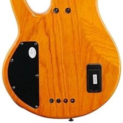 Michael Kelly Pinnacle 4-String Bass Electric Bass Guitar with Natural Burl Finish image 6