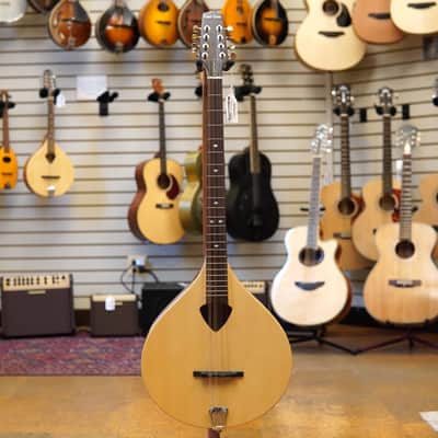 Gold Tone BZ-500 Irish Bouzouki Mandolin w/Hard Case image 4