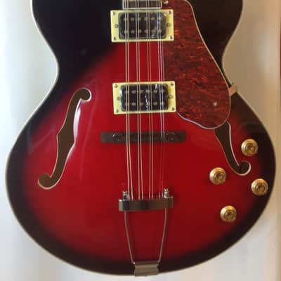 Douglas / MORTone Hollow body 8 string electric mandocello , guitar conversion image 3
