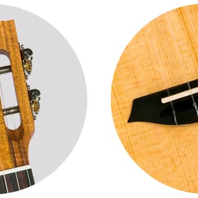 Flight Victoria Soundwave Concert Ukulele - Spruce image 9