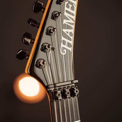Hamer Chaparral Elite Sustainiac 1990 Black image 8