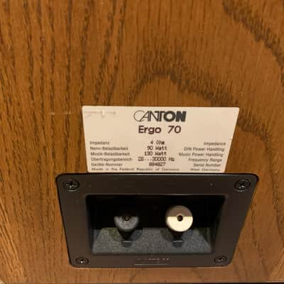 Canton Ergo 70 Floor-Standing Speakers - Oak Finish image 12