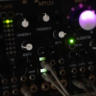 Mutable Instruments Ripples (Clone) Filter VCF Eurorack 8HP image 4