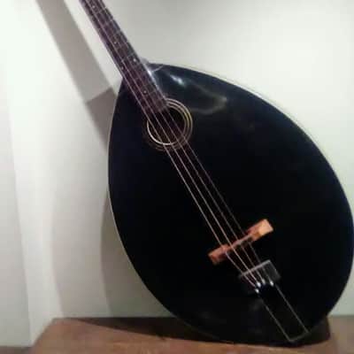 Gibson "Style-J" Mando-bass  1919. With Original Canvas Bag and "Orientation" Pegs! image 1