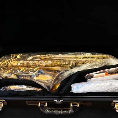 Yanagisawa Alto Saxophone AW020 Bronze Model Bronze image 5
