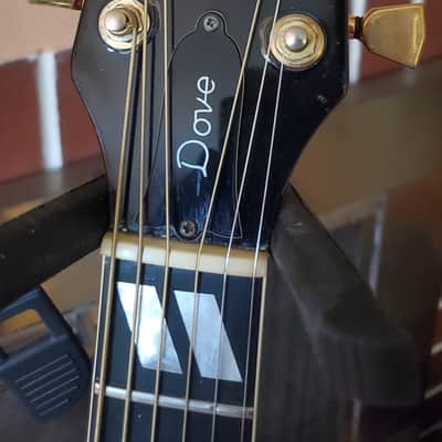 Gibson Dove 1976 - Natural image 2