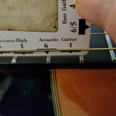 Alvarez Artist 5003 Nat Gloss image 14