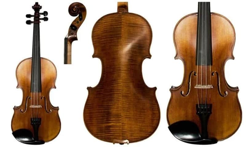 Viola Sorana image 1