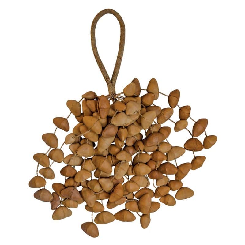Immagine Terre Seedshaker XXL - 1