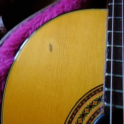 1991 Gibson Chet Atkins CE - Natural image 5