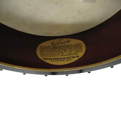 Vintage Hand-Painted Gibson Banjolin image 9