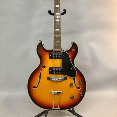 Angelica Barney Kessel Style Hollowbody 1970s Sunburst image 1