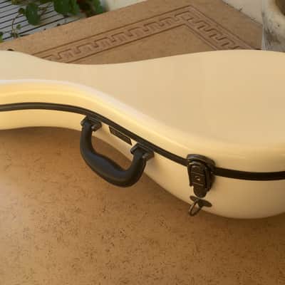 Umberto Ceccherini Neapolitan Style bowlback mandolin 1881 with Eastman Case image 9