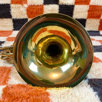 RS Berkeley Double French Horn F/Bb 4 Valve With Case And Mouthpiece (See Video) image 11