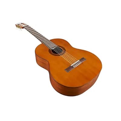 BRAND NEW Cordoba C5 Solid Cedar Top Acoustic Nylon-String Classical Guitar 2025 - cedar image 2