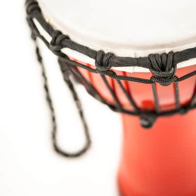 Meinl Junior Djembe JRD-R image 3
