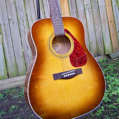 Yamaha  F345SY  Sycamore Top Dreadnought Acoustic Guitar Like New image 1