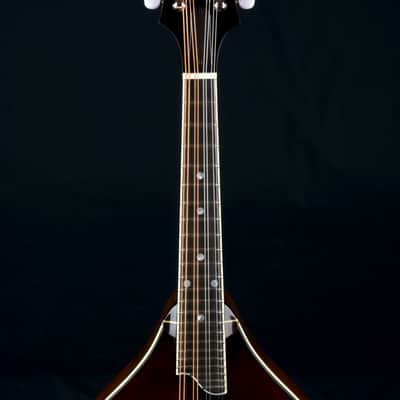 Eastman MD505 A-Style Mandolin Classic Finish NEW image 8
