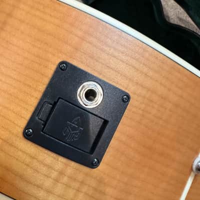 Guild F-2512E Jumbo 12 String Acoustic-Electric Guitar With Guild USA Deluxe Humidified Case image 18