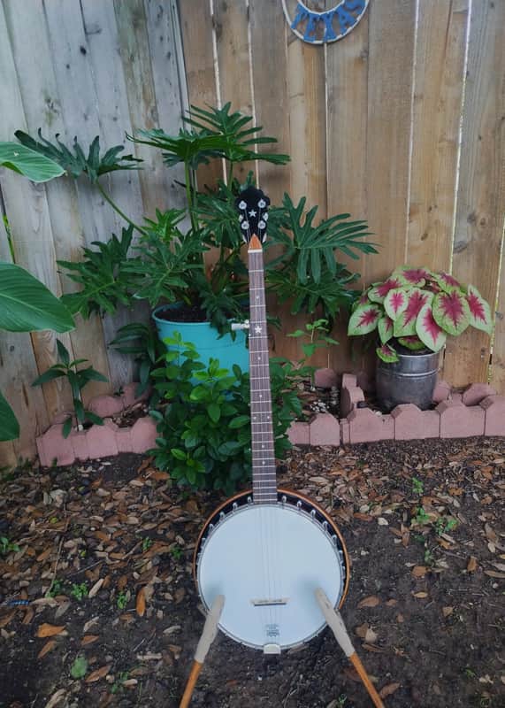 Vega Senator 1920s  - Conversion to 5 string image 1