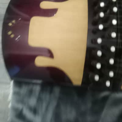 Unknown Zither Unknown - Gloss stain image 11