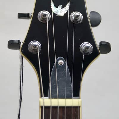 NEW Dillion DR 450-FX Electric Guitar image 7