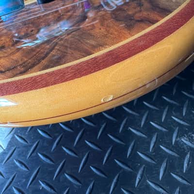 Alembic Custom EvH Signature Series II Superfilter image 18