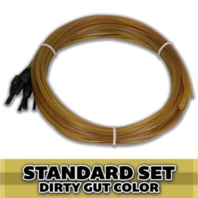 Kaplan Golden Spiral Gut Strings for Double Bass | Reverb