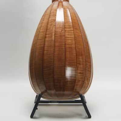 David J. Rubio Lute (1972) image 4