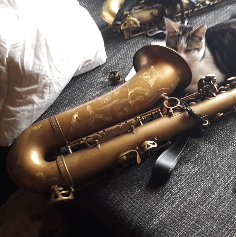 Bauhaus Walstein M2 Pro Earth Series tenor sax image 1