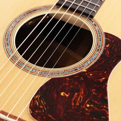 Taylor Gold Label Collection 810e Acoustic-Electric image 9