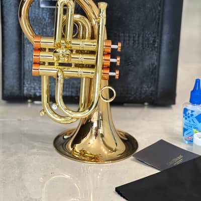 CarolBrass Pocket Flugelhorn / Taylor Phat Puppy 2024 - Polished / Lacquered image 5