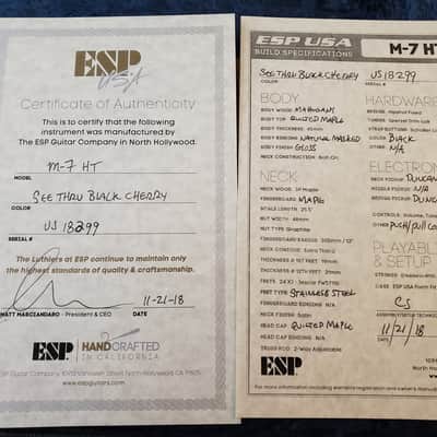ESP USA M7 image 20