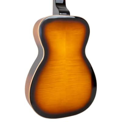 Gold Tone PBS-D Paul Beard Signature-Series Squareneck Resonator Guitar Deluxe w/Hardshell Case image 5