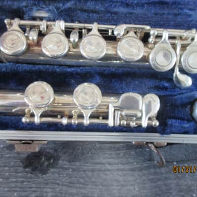 Borg brand Flute with case image 3