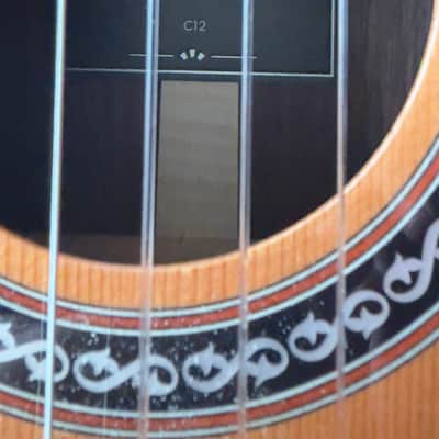 Cordoba C12 Classical 2024 Cedar image 7