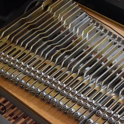 1972 Fender Rhodes MKI 73 Electric Stage Piano image 12