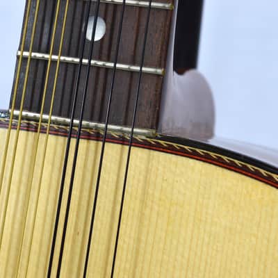 Guitarra Quinta Huapanguera (used) image 4
