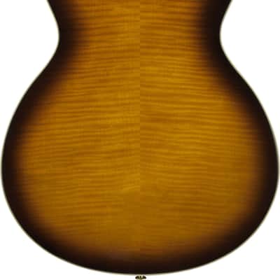 Ibanez AS93FML-VLS image 6