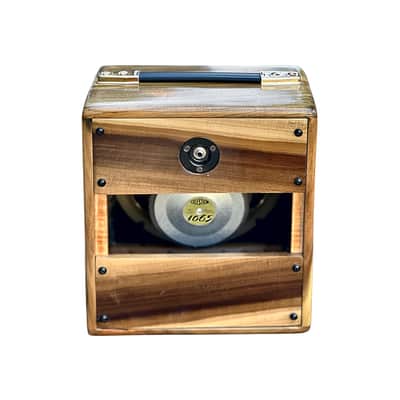Unique Ashen 110 Handmade Poplar Guitar Cabinet image 5