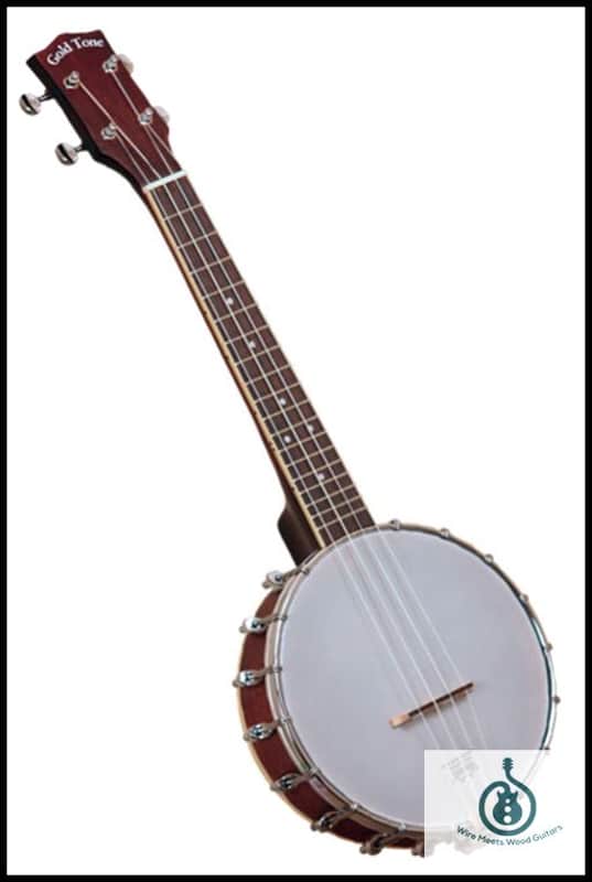 Gold Tone BUC Concert-Scale Banjo Ukulele w/ Case 15-1/2" Concert Scale Maple image 1