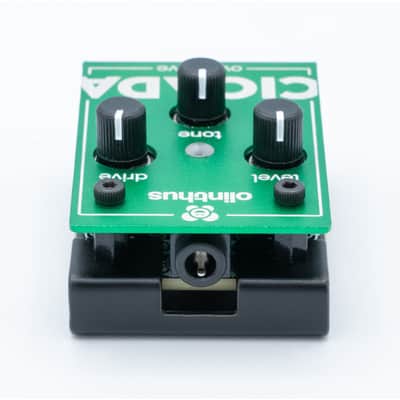 Olinthus Cicada Overdrive 2024 - Present - Green image 3