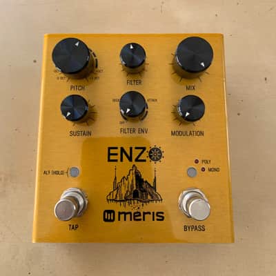 Meris Enzo 2018 - Gold image 2