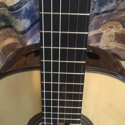 Hill New World Classical Guitar w/Elevated Fingerboard-Brand New! image 7