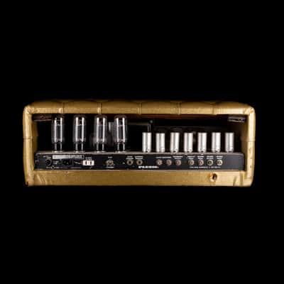 Used Vintage 1960's Plush P1000S Tuck & Roll Gold Tube Guitar Amp Head image 2