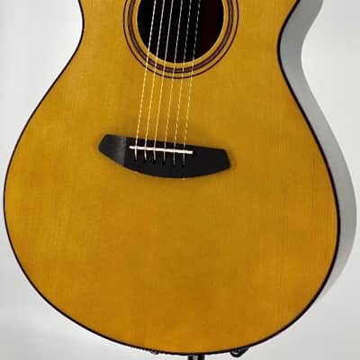 Breedlove Performer Pro Concertina Aged Toner w/ Case Ser# CC220710230 image 3