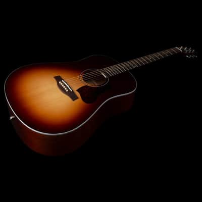 Seagull Model # 051922 Entourage Autumn Burst Presys II Dreadnought A/E NEW image 2