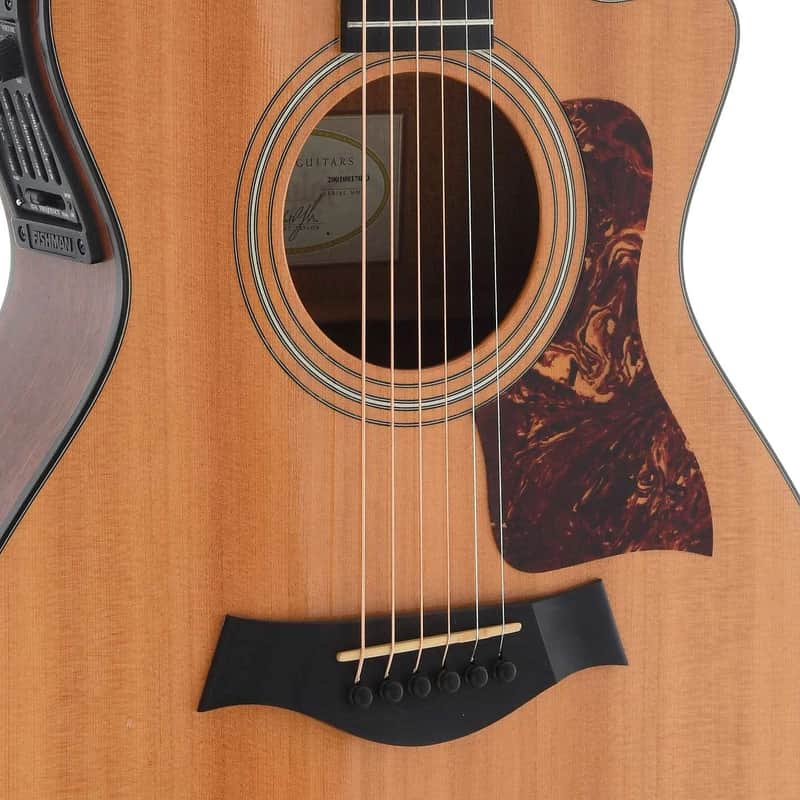 Taylor 312ce with Fishman Electronics image 3